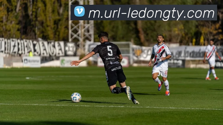 乐动体育平台生态图