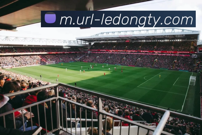 乐动体育APP 封面图